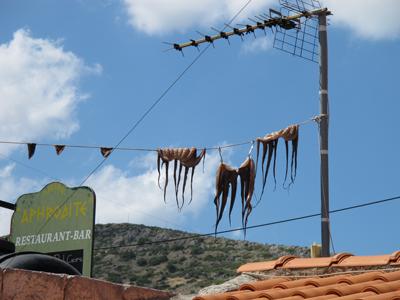 Kalamares im Wind